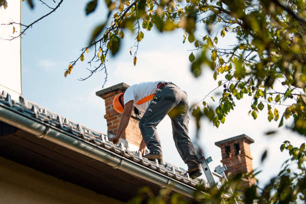 Best Sheet Metal Roofing  in Lakeland North, WA